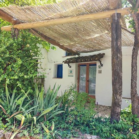 הוילה Alájar Casita Esperanza מראה חיצוני תמונה