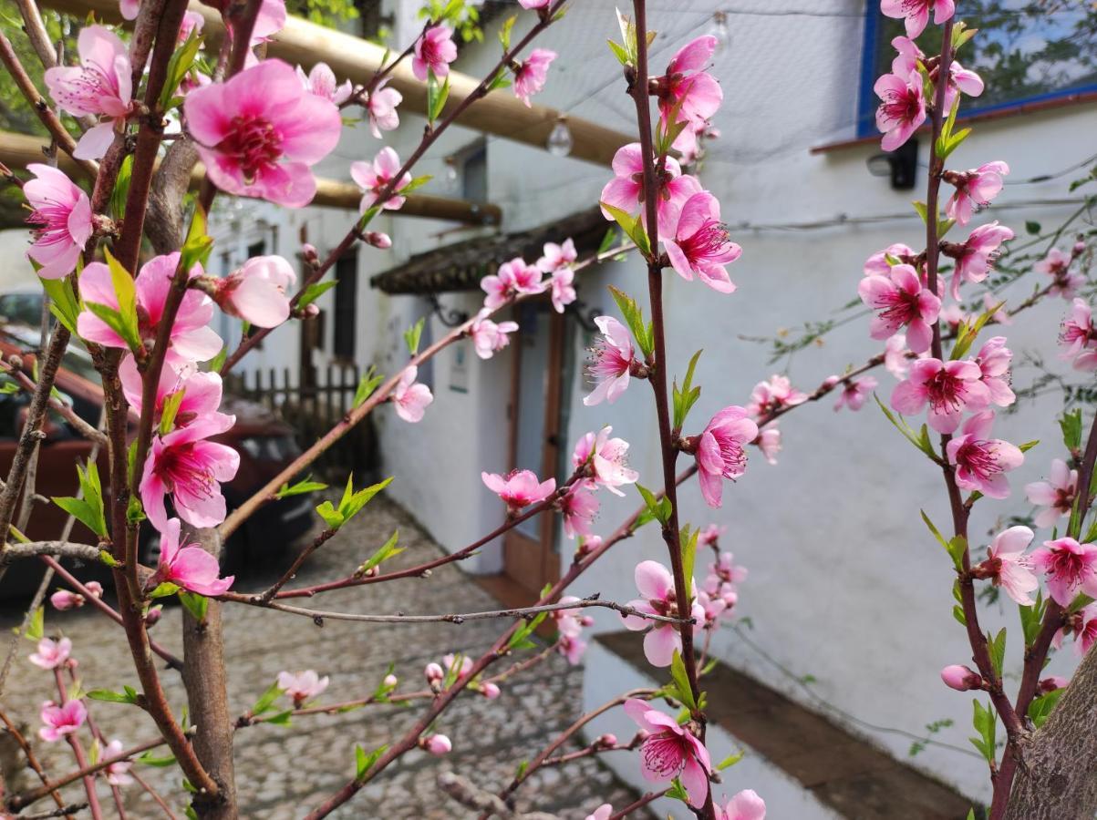 הוילה Alájar Casita Esperanza מראה חיצוני תמונה